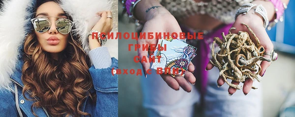 дурь Белокуриха