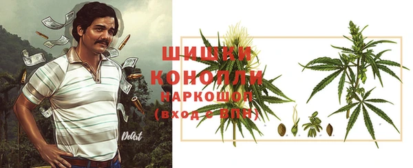 дурь Белокуриха