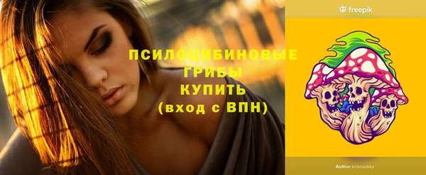 дурь Белокуриха