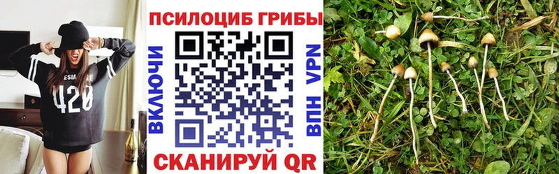 наркота  Светлый  Галлюциногенные грибы Cubensis 